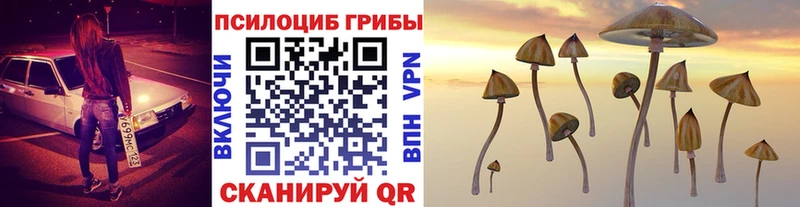 купить наркотик  Волжск  Псилоцибиновые грибы Magic Shrooms 
